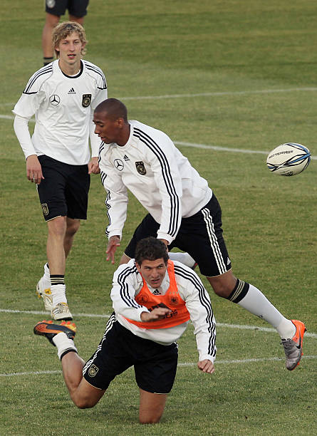 迁至生态条 迁至生态条